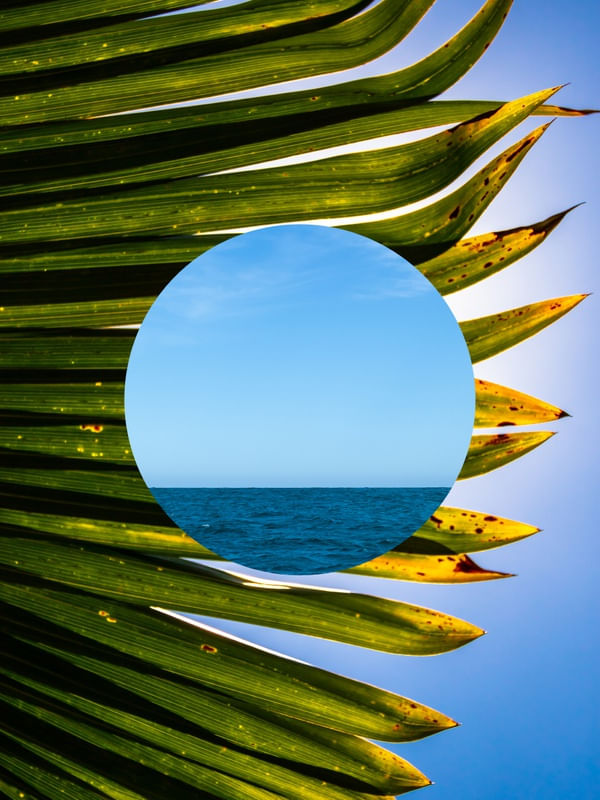 VERDE MAR