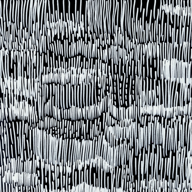 NEWFANGLED IDEAS 1, BLACK AND WHITE