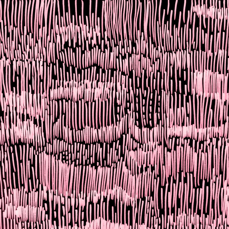 NEWFANGLED IDEAS 3, PINK BLACK