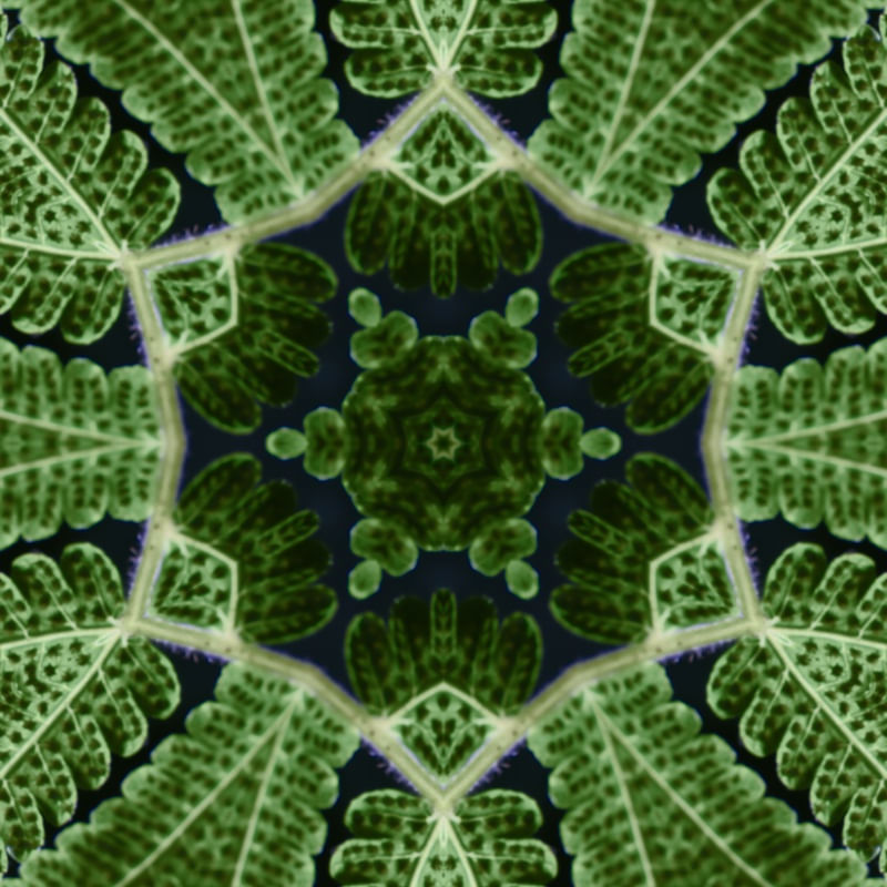 FAZENDO GEOMETRIA COM A NATUREZA 04
