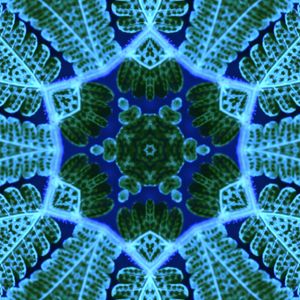 FAZENDO GEOMETRIA COM A NATUREZA 05