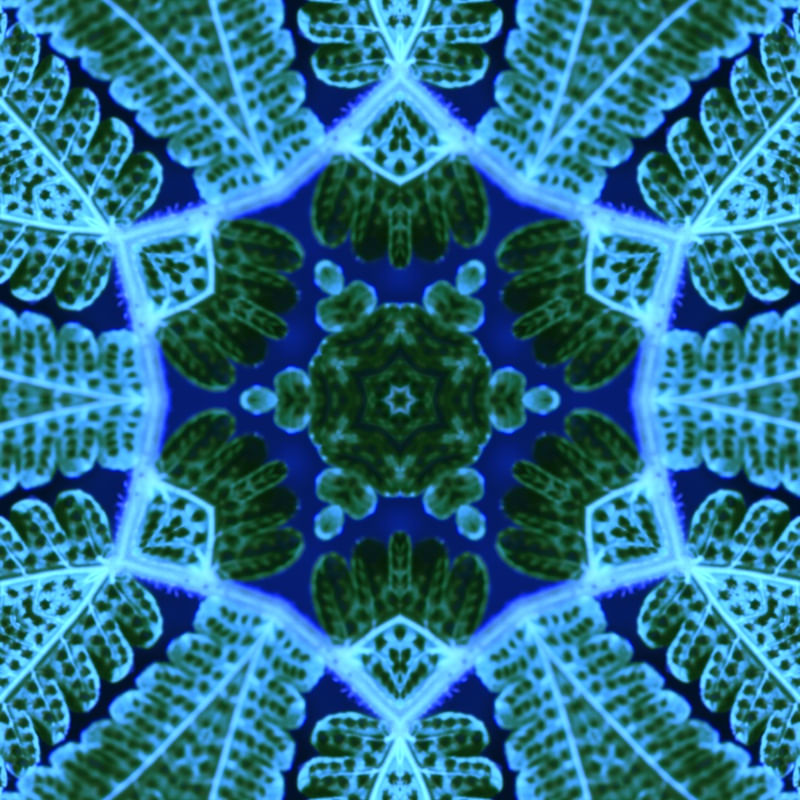 FAZENDO GEOMETRIA COM A NATUREZA 05