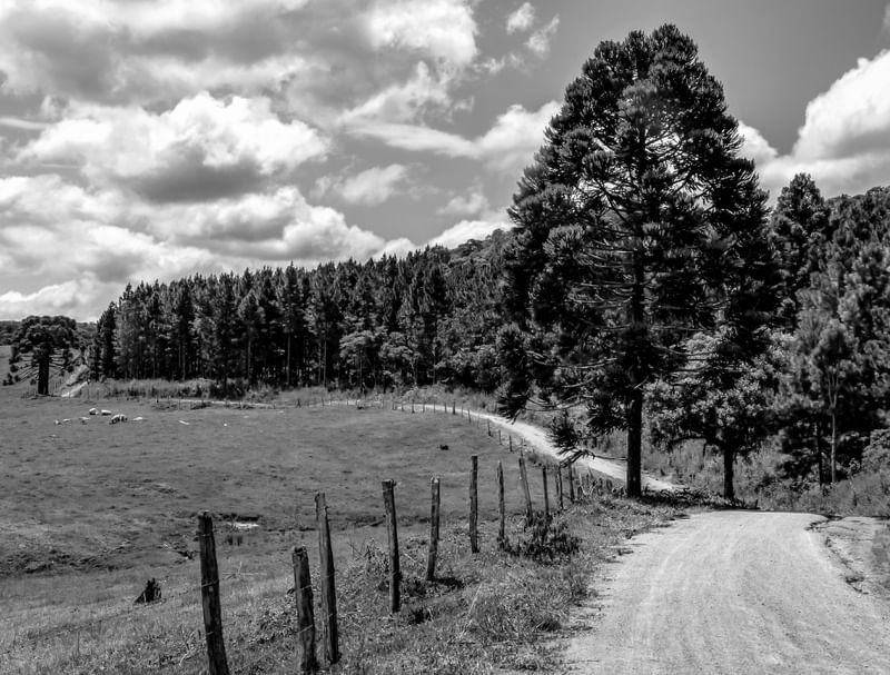NA ESTRADA DE TERRA