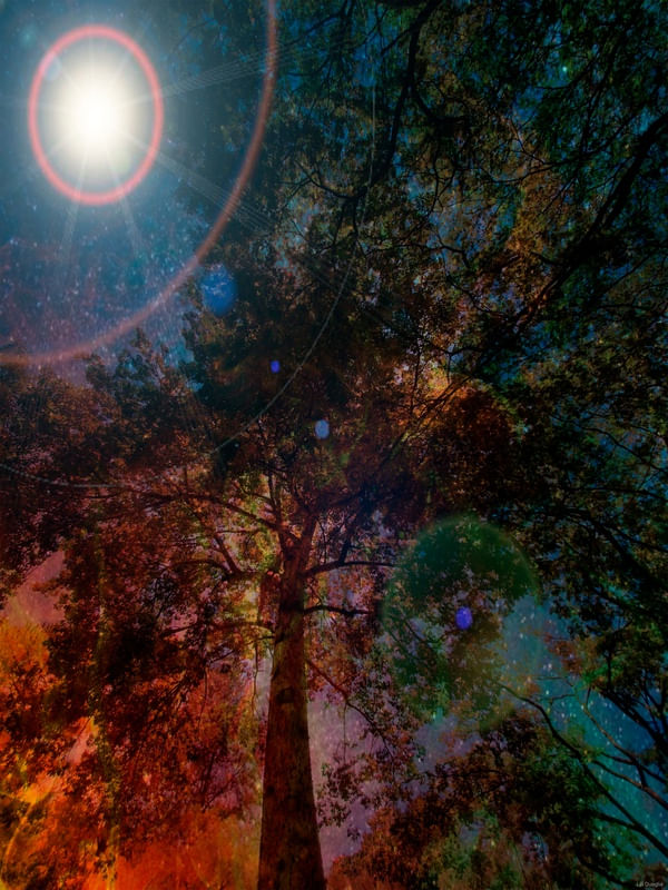 NATUREZA ESTRELAR