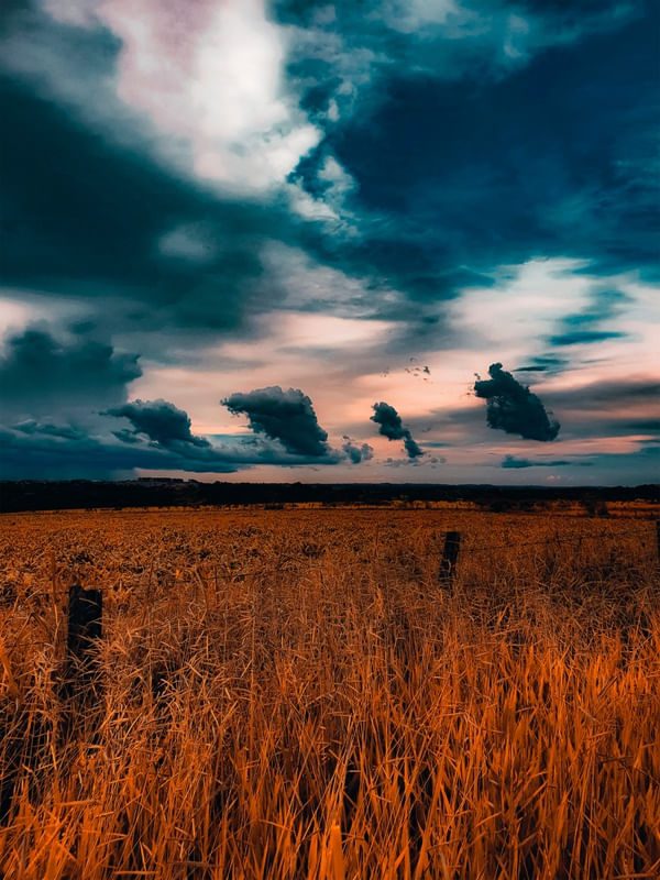 CÉU DO CAMPO