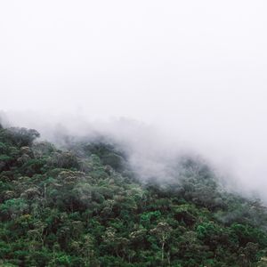 NÉVOA NA SERRA