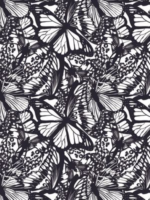 BUTTERFLY GARDENING