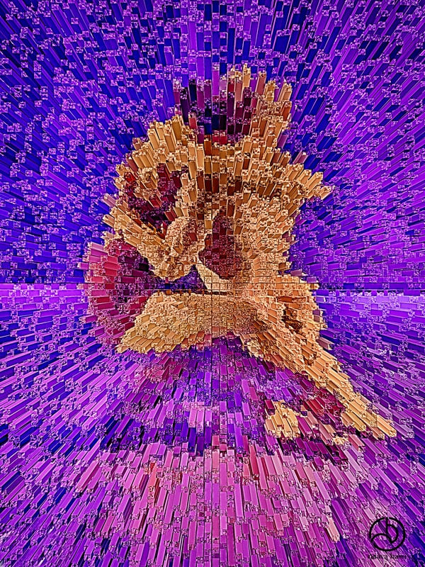IMPLIQUÉ DANS L'AMOUR