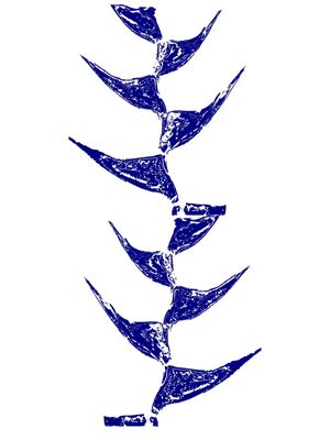 PLANTA DESENHADA DE AZUL 00