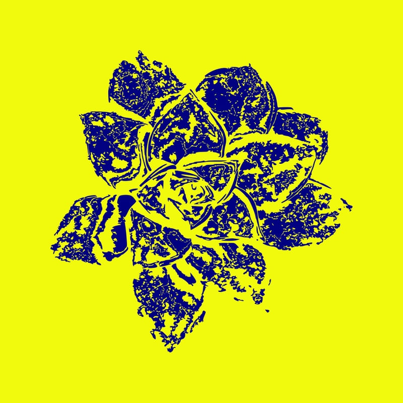 PLANTA DESENHADA DE AZUL 01