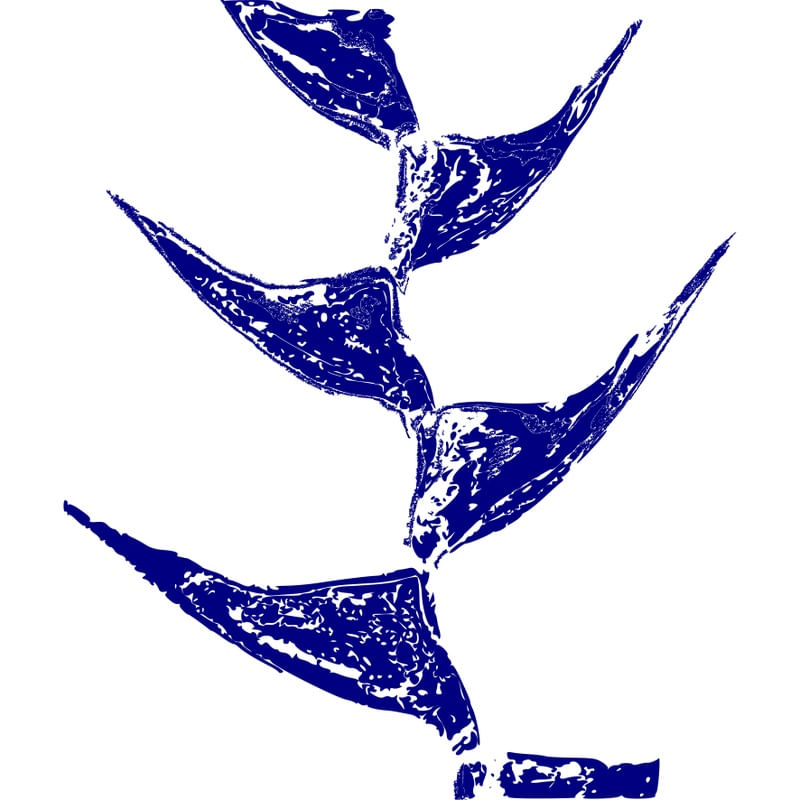 PLANTA DESENHADA DE AZUL 02