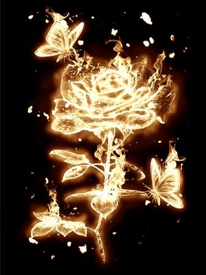 THE FIRE ROSE