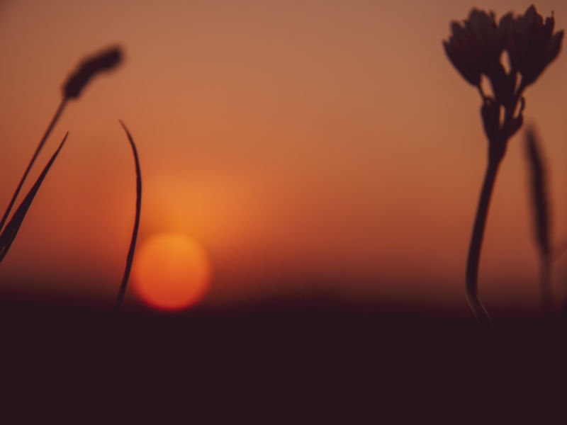 OCASO LARANJA