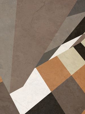 GEOMETRIC ILLUSION 095