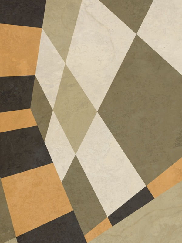 GEOMETRIC ILLUSION 096