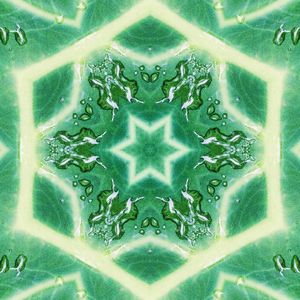 FAZENDO GEOMETRIA COM A NATUREZA 02