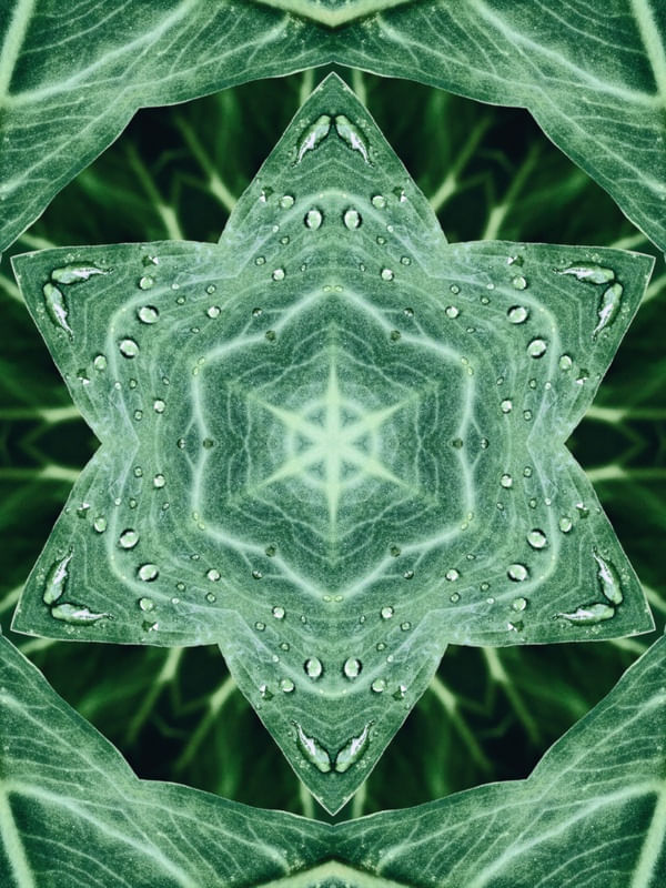 ESTRELA NATURAL E VERDE 01