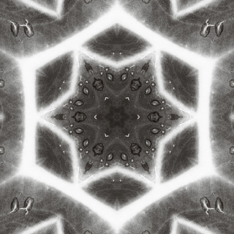 FAZENDO GEOMETRIA COM A NATUREZA 01