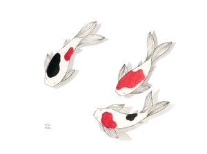 TRIO DE KOI