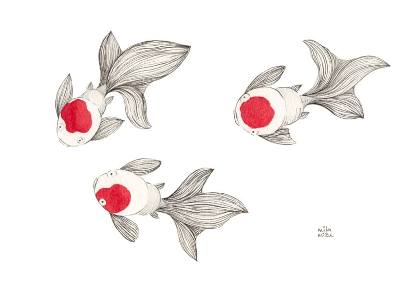 TRIO DE KINGUIOS