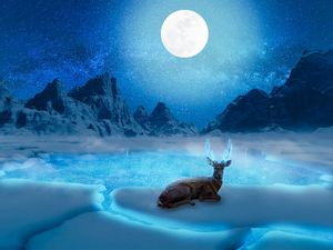DEER IN THE SNOW
