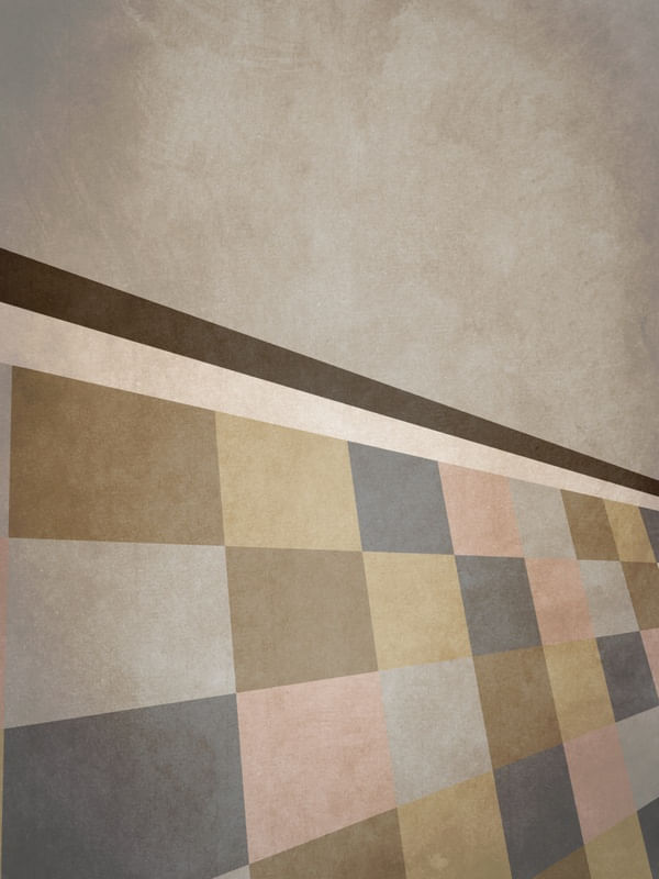 GEOMETRIC ILLUSION 109