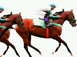CAVALOS VENCEDORES