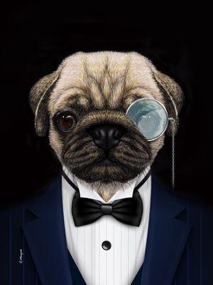 MISTER PUG - ANIMAL SOCIETY