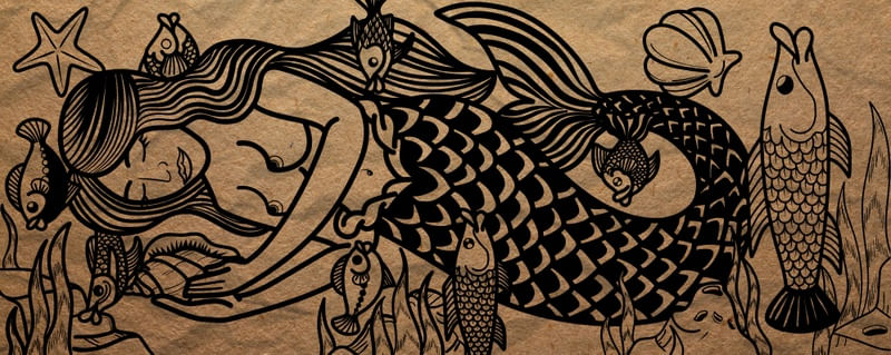 SEREIA CORDEL