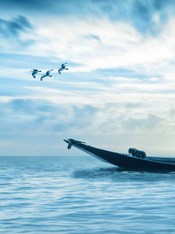PESCADOR 01