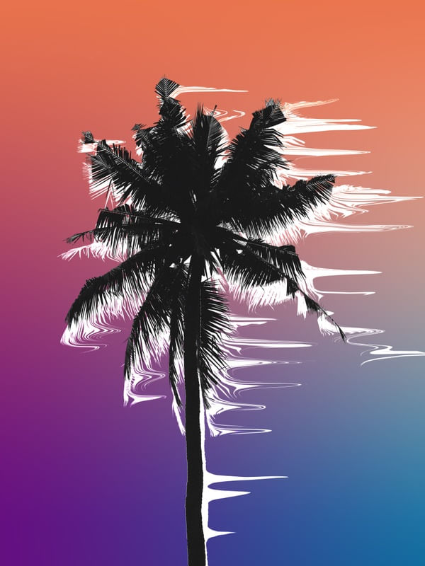 SUNSET COCONUT