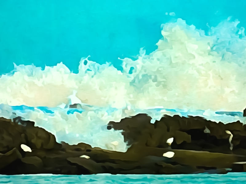 DILU VIU - PAISAGEM