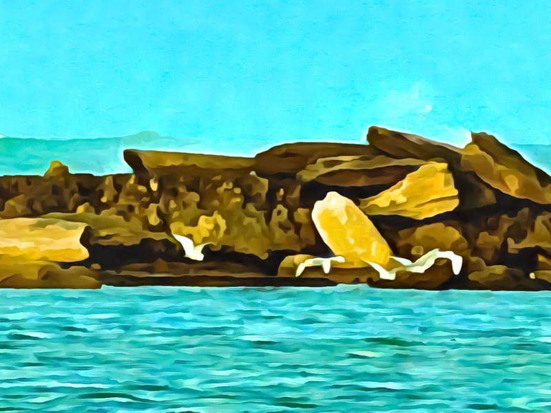 MISSÃO - PAISAGEM