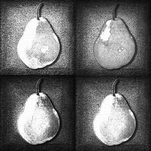 GREY PEARS