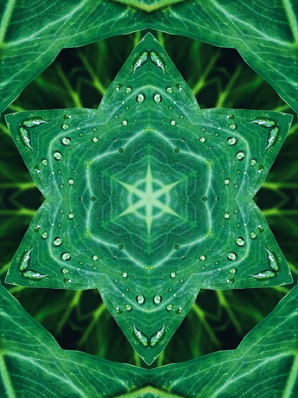 ESTRELA NATURALMENTE VERDE