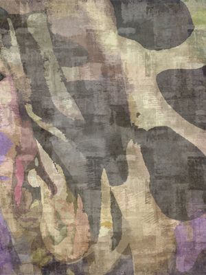 SAVANA 03