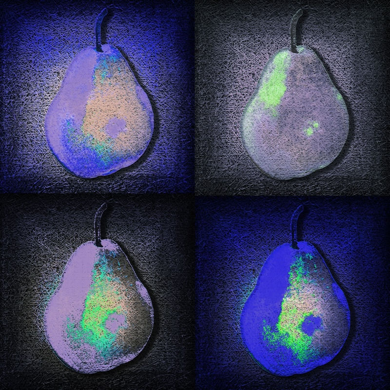 BLUE GREY CHESS PEAR