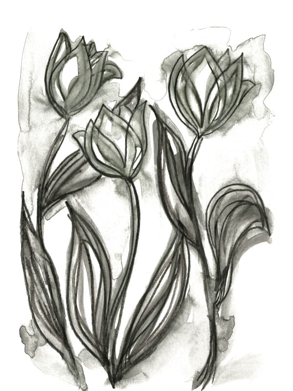FLORAL SKETCH 2, MINIMALIST FLOWERS