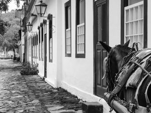 CASARIO EM PARATY