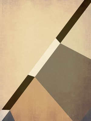 GEOMETRIC ILLUSION 111