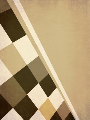GEOMETRIC ILLUSION 114