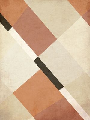 GEOMETRIC ILLUSION 113