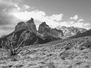 LOS CUERNOS - P&B