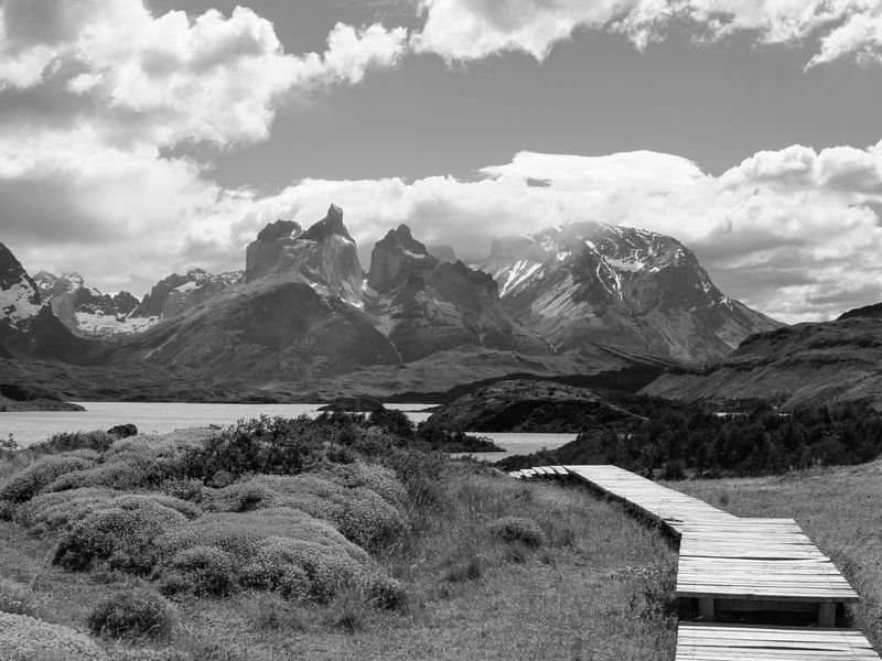PARQUE NACIONAL TORRES DEL PAINE - P&B