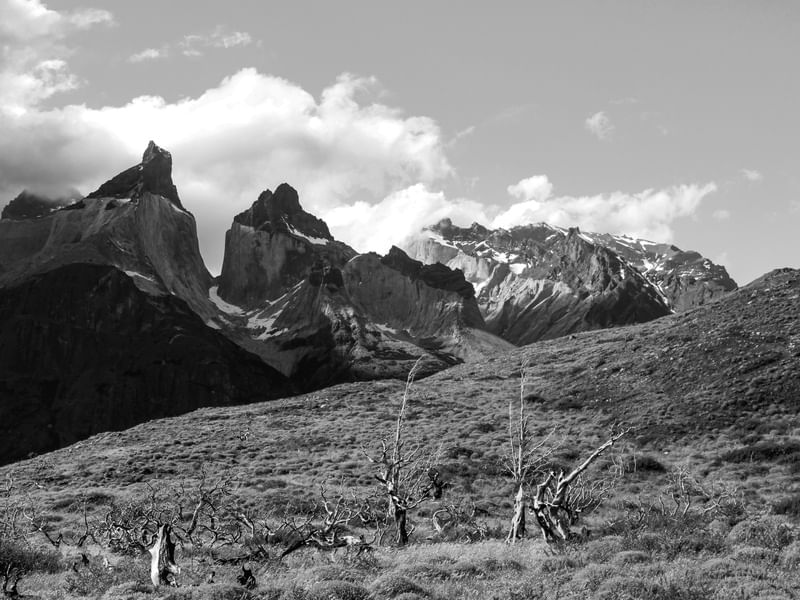 LOS CUERNOS P&B - 2