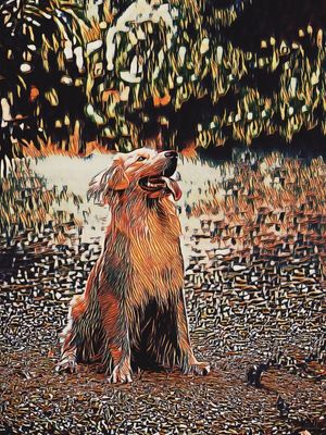 GOLDEN RETRIEVER ESTILIZADO