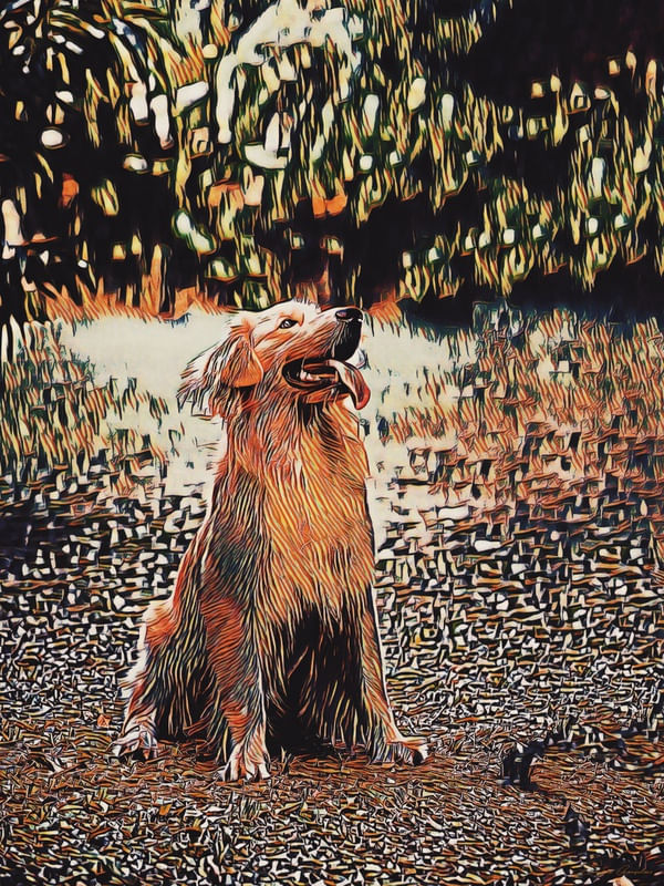 GOLDEN RETRIEVER ESTILIZADO