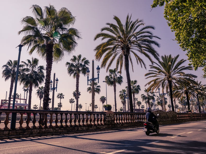ENTRE COQUEIROS (BARCELONA, ESPANHA)