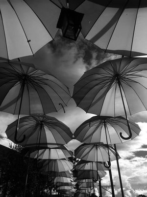 CAMINHO DE GUARDA CHUVA
