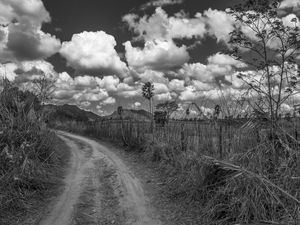 CAMINHOS DO SERTÃO_MARANGUAPE_PNW